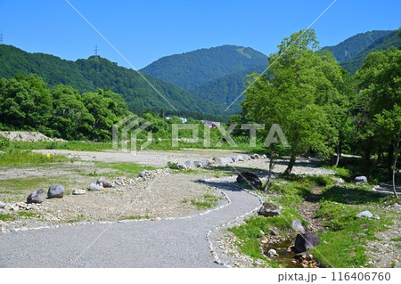 みつまた親水公園　バイカモ群生地　清津川　河原の風景　 116406760