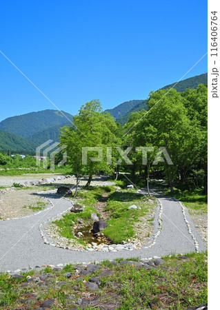 みつまた親水公園 バイカモ群生地 清津川 河原の風景 みつまた親水公園 バイカモ群生地 清津川 河原の風景 116406764