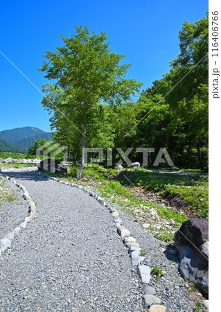 みつまた親水公園　バイカモ群生地　清津川　河原の風景　 116406766
