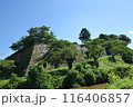 初夏の篠山城跡　石垣　7月上旬 116406857