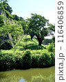 初夏の篠山城跡　石垣　7月上旬 116406859