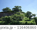 初夏の篠山城跡　石垣　7月上旬 116406860