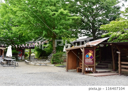 栃木県那須町 那須高原のトレジャーストーンパークと新緑 栃木県那須町 那須高原のトレジャーストーンパークと新緑 116407104