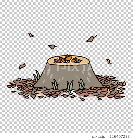 Illustration of fallen leaves and stumps 116407258
