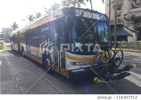 ハワイ州のバス　ホノルルのバス 116407352