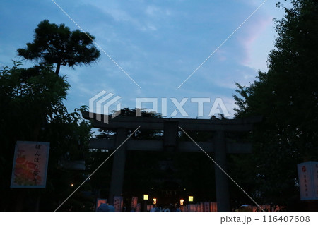 日枝神社のぼんぼり祭り 日枝神社のぼんぼり祭り 116407608
