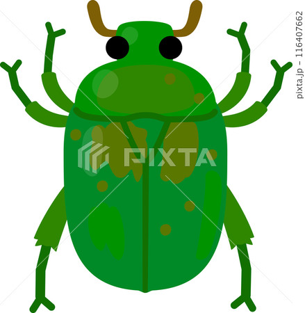 緑色のカナブンのデフォルメイラスト 116407662