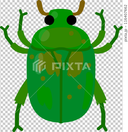 緑色のカナブンのデフォルメイラスト 116407662