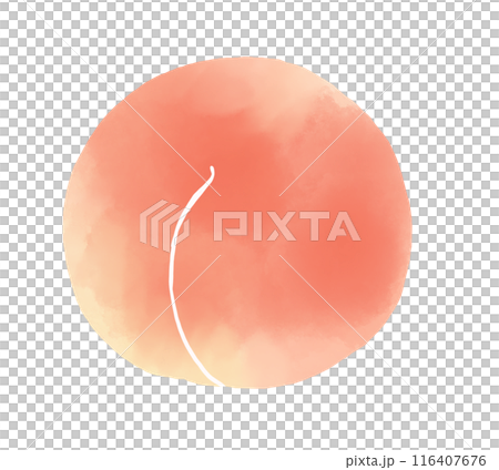 Watercolor style peach illustration 116407676