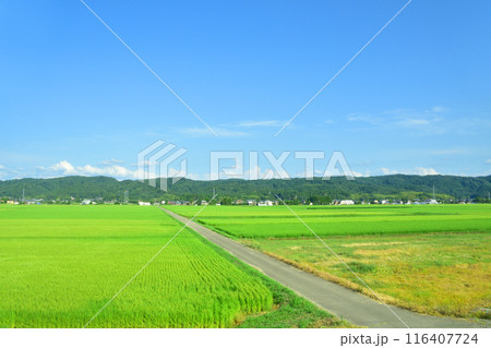 JR東日本信越線の三条駅から長岡駅までの車窓風景(2022年夏) 116407724