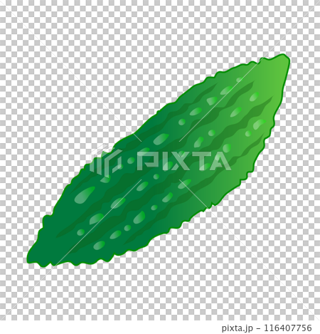手繪風格可愛苦瓜插畫 116407756