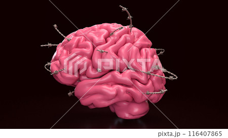 The Brain and  barbed wire for sci or medical concept 3d rendering. 116407865