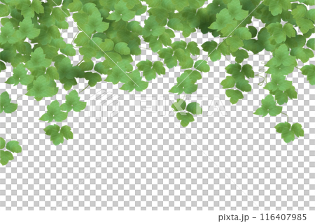 Kudzu Leaf Card 1 116407985
