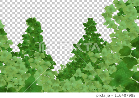 Kudzu Leaf Card 3 116407988