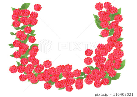 千日紅（センニチコウ）の花のカード5 116408021
