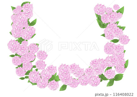 千日紅（センニチコウ）の花のカード6 116408022