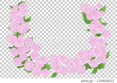 千日紅（センニチコウ）の花のカード6 116408022
