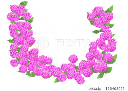 千日紅（センニチコウ）の花のカード7 116408023