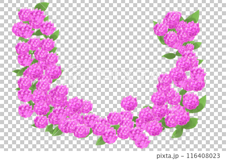 千日紅（センニチコウ）の花のカード7 116408023