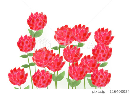 千日紅（センニチコウ）の花のカード8 116408024