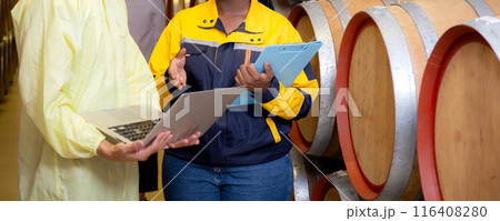 Winemaker team checking and examining producing wine at winery in factory. 116408280