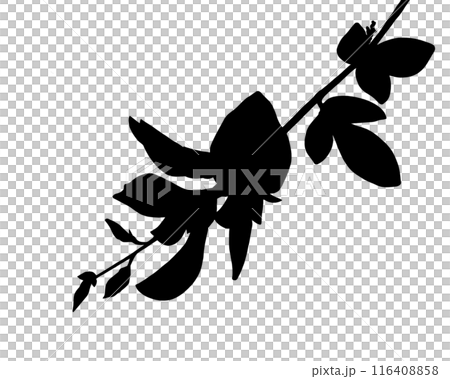 萩の花のシルエットイラスト 萩の花のシルエットイラスト 116408858