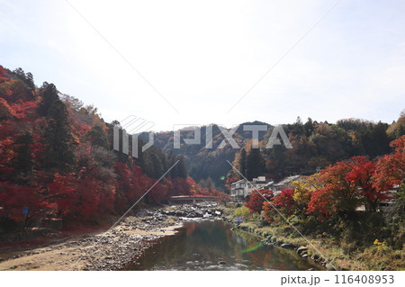 香嵐渓で紅葉狩り 紅葉散歩 香嵐渓で紅葉狩り 紅葉散歩 116408953