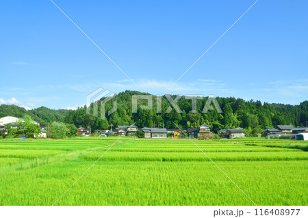 JR東日本信越線の新津駅から三条駅までの車窓風景(2022年夏) 116408977