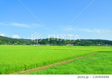 JR東日本信越線の新津駅から三条駅までの車窓風景(2022年夏) JR東日本信越線の新津駅から三条駅までの車窓風景(2022年夏) 116408986