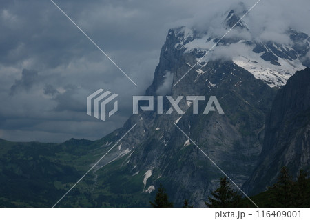 スイスアルプスの絶景トレイル。ミッテルホルンとグリンデルワルト 116409001