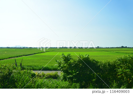 JR東日本信越線の新津駅から三条駅までの車窓風景(2022年夏) 116409003