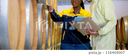Winemaker team checking and examining producing wine at winery in factory. Winemaker team checking and examining producing wine at winery in factory. 116409007