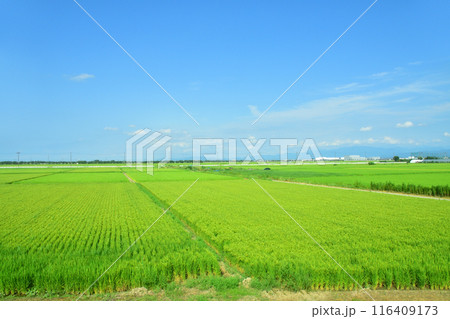 JR東日本新潟駅と信越線新潟駅から新津駅までの車窓風景(2022年夏) JR東日本新潟駅と信越線新潟駅から新津駅までの車窓風景(2022年夏) 116409173