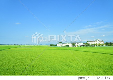 JR東日本新潟駅と信越線新潟駅から新津駅までの車窓風景(2022年夏) JR東日本新潟駅と信越線新潟駅から新津駅までの車窓風景(2022年夏) 116409175