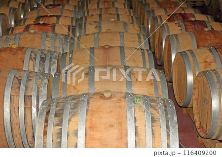 オーク樽の並ぶワインセラー オーク樽の並ぶワインセラー 116409200