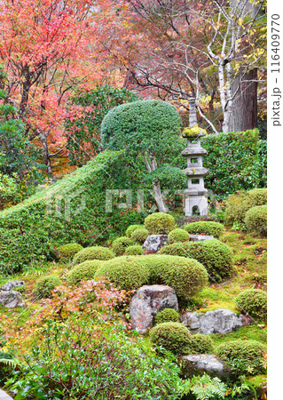 大原　三千院　紅葉の聚碧園（京都市左京区） 116409770