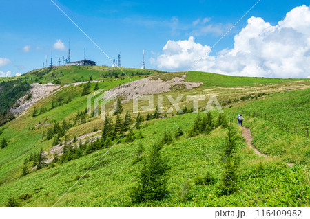 美ヶ原トレッキング：アルプス展望コースから王ヶ頭を望む 116409982