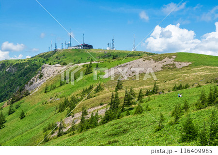 美ヶ原トレッキング:アルプス展望コースから王ヶ頭を望む 美ヶ原トレッキング:アルプス展望コースから王ヶ頭を望む 116409985