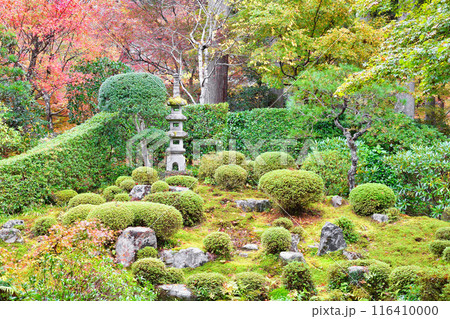大原 三千院 紅葉の聚碧園(京都市左京区) 大原 三千院 紅葉の聚碧園(京都市左京区) 116410000