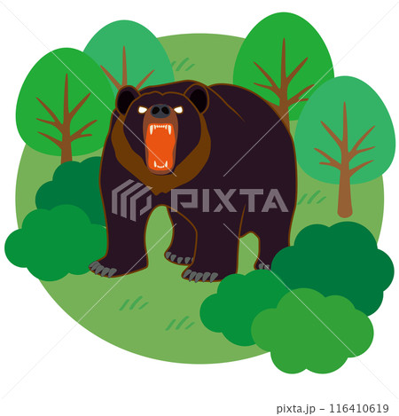 森にいる危険なクマのベクターイラスト 116410619