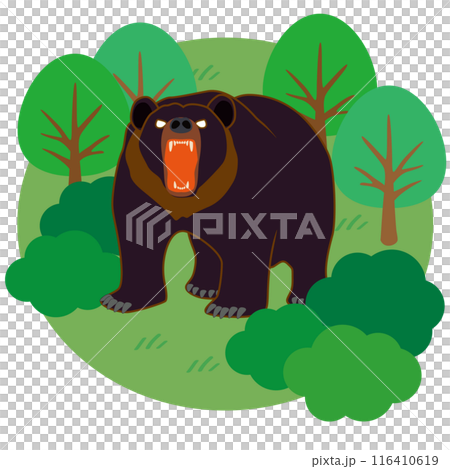 森にいる危険なクマのベクターイラスト 116410619