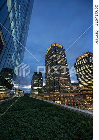 東京丸の内の夜景 116410650