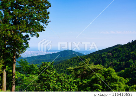 神奈川県 丹沢大山国定公園展望台からの眺め 神奈川県 丹沢大山国定公園展望台からの眺め 116410655