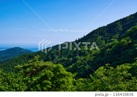 神奈川県 丹沢大山国定公園展望台からの眺め 116410656