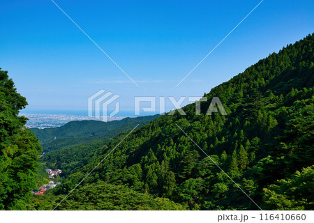 神奈川県 丹沢大山国定公園展望台からの眺め 116410660