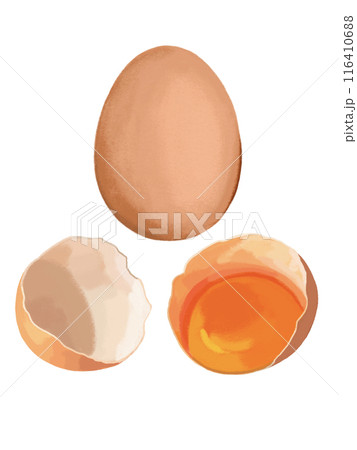 赤玉子（1個と割り）バラ 116410688