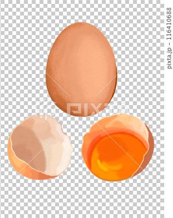 赤玉子（1個と割り）バラ 116410688