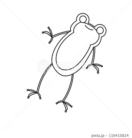 A frog is shown in a white background 116410824