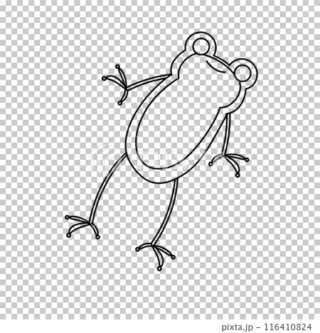 A frog is shown in a white background 116410824