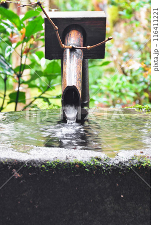 大原　三千院（京都市左京区） 116411221